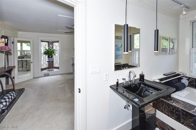 bathroom featuring a bathtub, a sink, and rail lighting