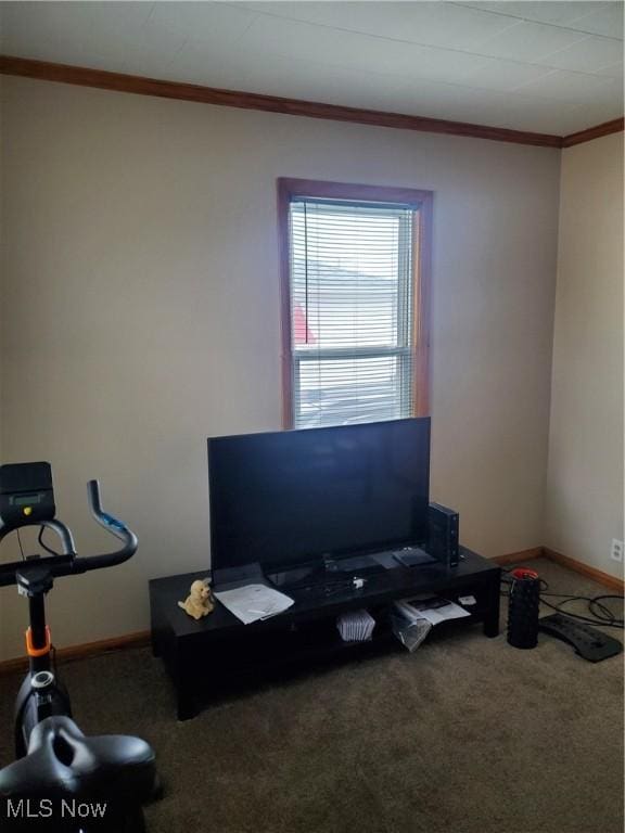 interior space with carpet floors, crown molding, and baseboards