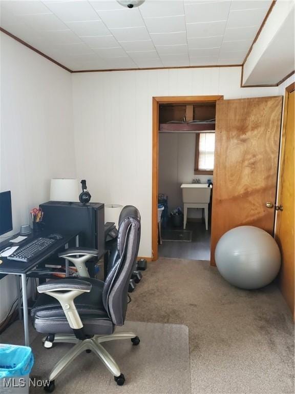 home office featuring carpet floors and a sink