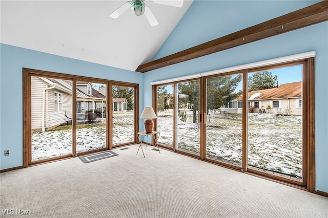 doorway to outside featuring high vaulted ceiling, carpet, visible vents, and ceiling fan