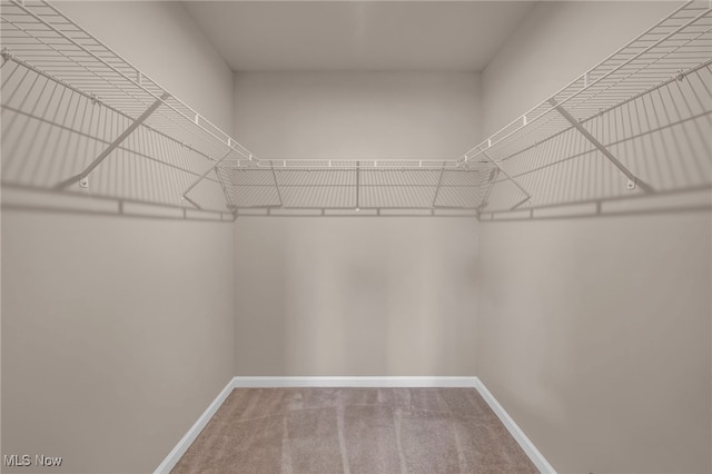 walk in closet featuring carpet floors