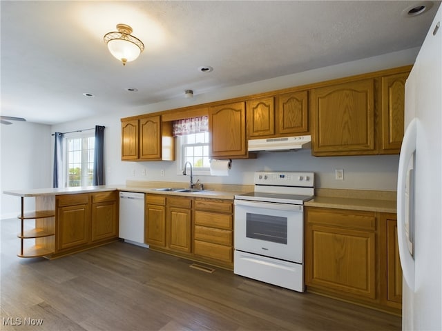 kitchen featuring under cabinet range hood, a peninsula, white appliances, a sink, and brown cabinetry