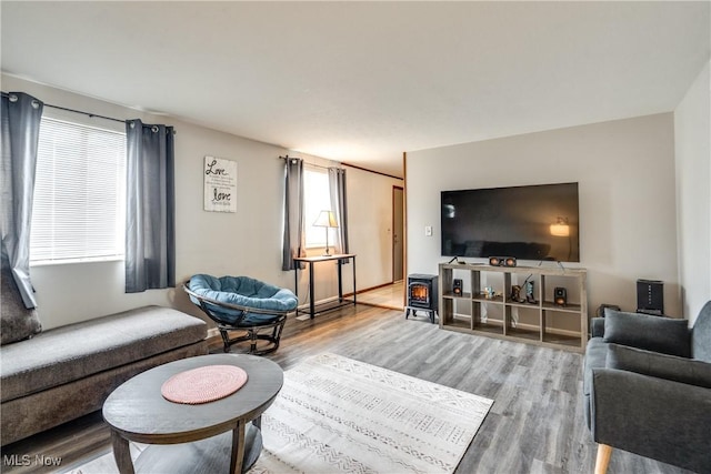 living room featuring wood finished floors