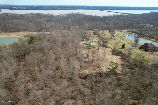 drone / aerial view with a water view and a wooded view