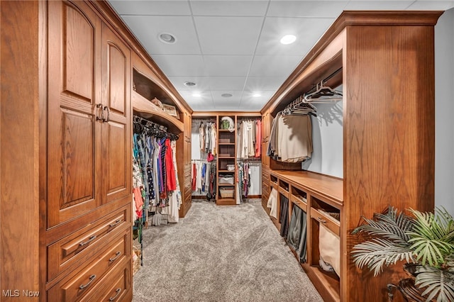 spacious closet with a drop ceiling and light carpet