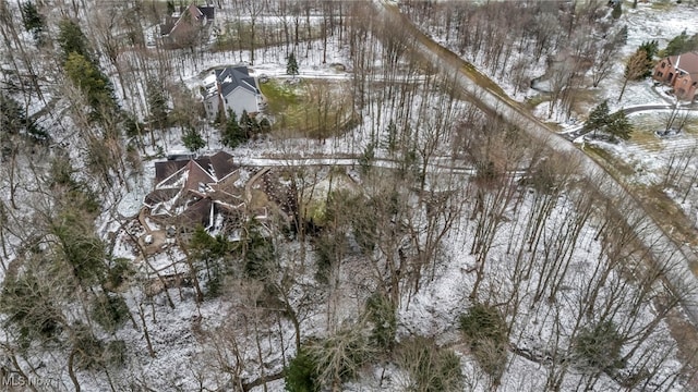 view of snowy aerial view