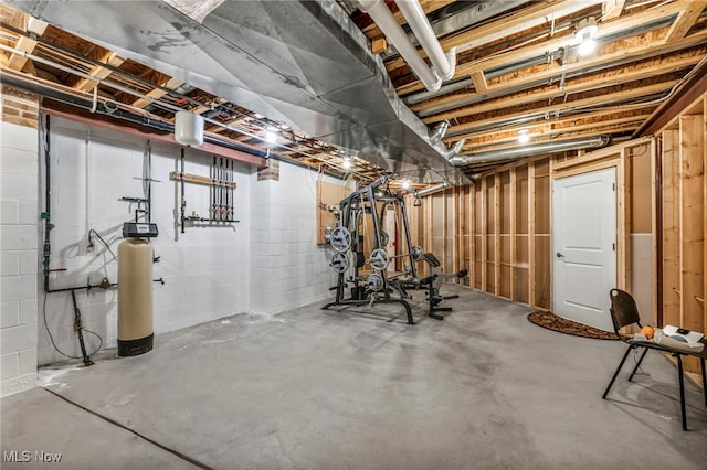 unfinished basement featuring concrete block wall