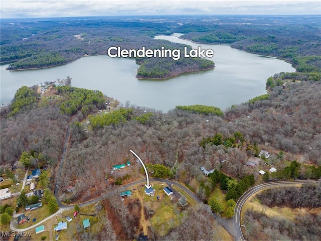 birds eye view of property featuring a water view and a view of trees