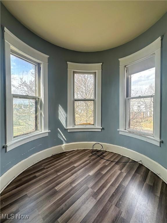 empty room with baseboards, a wealth of natural light, and wood finished floors