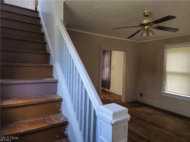 stairs featuring ornamental molding, ceiling fan, baseboards, and wood finished floors