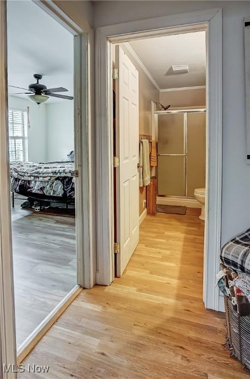 hallway featuring light wood-type flooring and crown molding