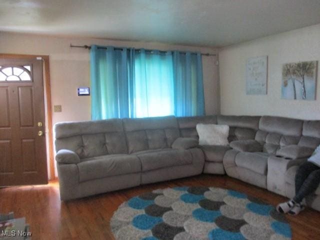 living area featuring wood finished floors