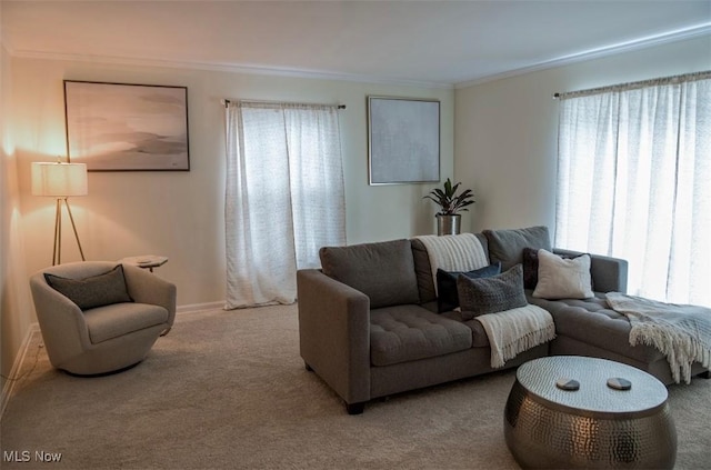 living area with ornamental molding and carpet