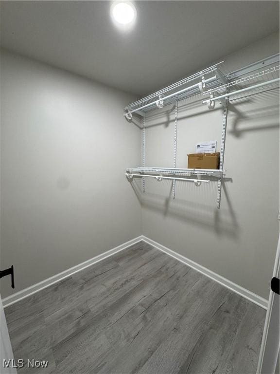 walk in closet featuring wood finished floors