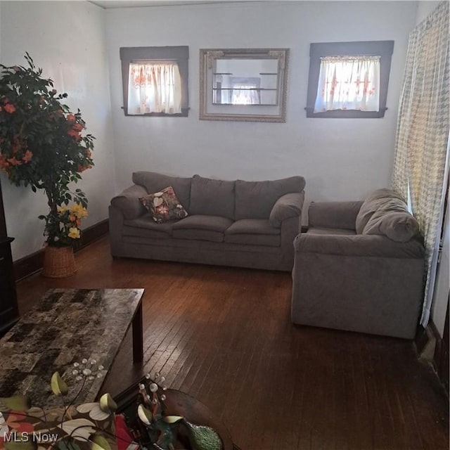 living room featuring dark wood-style floors