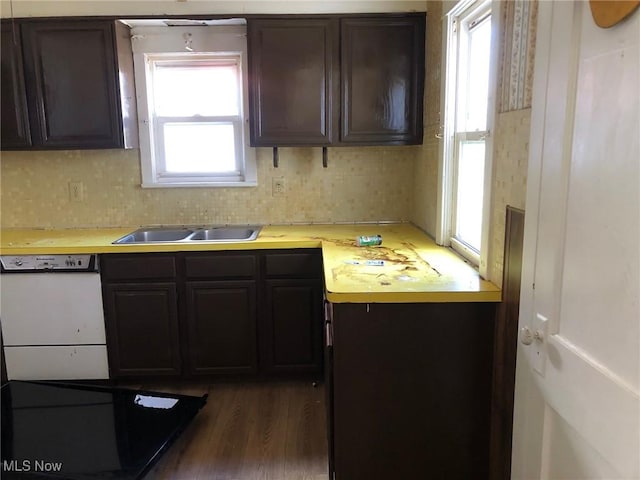 kitchen with wood finished floors, a sink, light countertops, decorative backsplash, and dishwasher