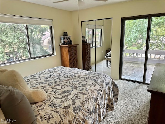 carpeted bedroom with access to outside and multiple windows