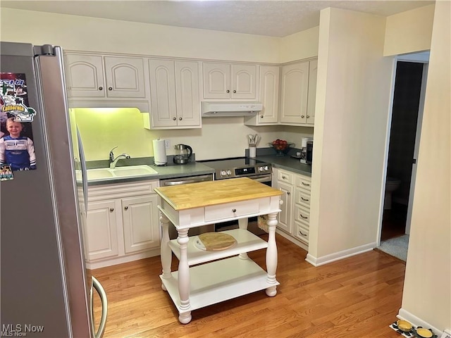 kitchen with stainless steel appliances, a sink, under cabinet range hood, and light wood-style flooring