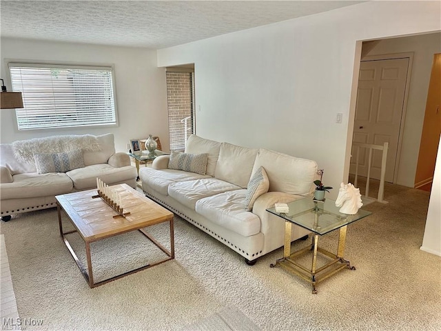 carpeted living area featuring a textured ceiling