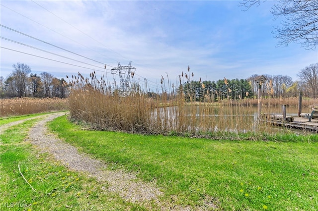 view of yard with driveway