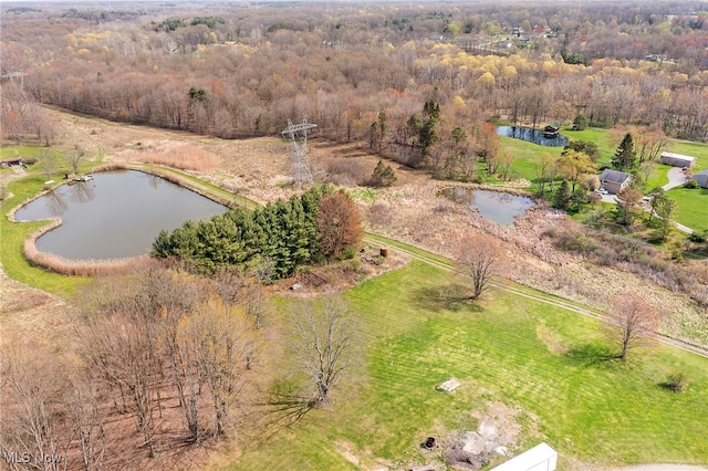 drone / aerial view with a water view and a forest view