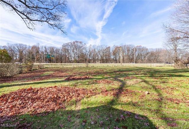 view of yard featuring a rural view