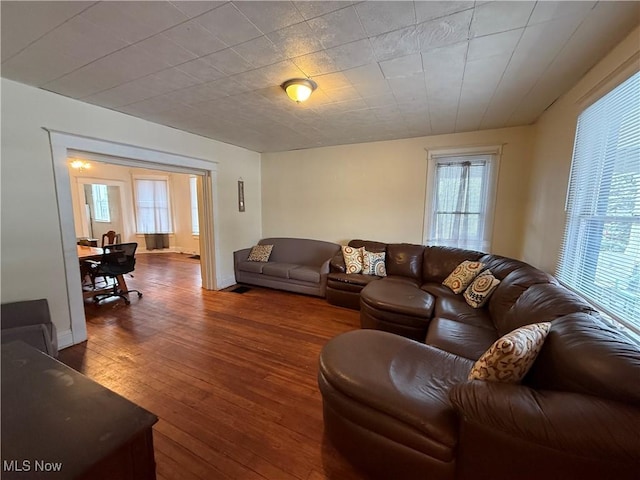 living room featuring dark wood-style floors