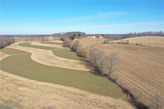 bird's eye view featuring a rural view