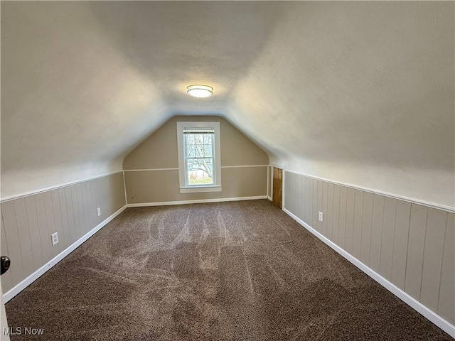 additional living space featuring lofted ceiling, carpet floors, and a textured ceiling