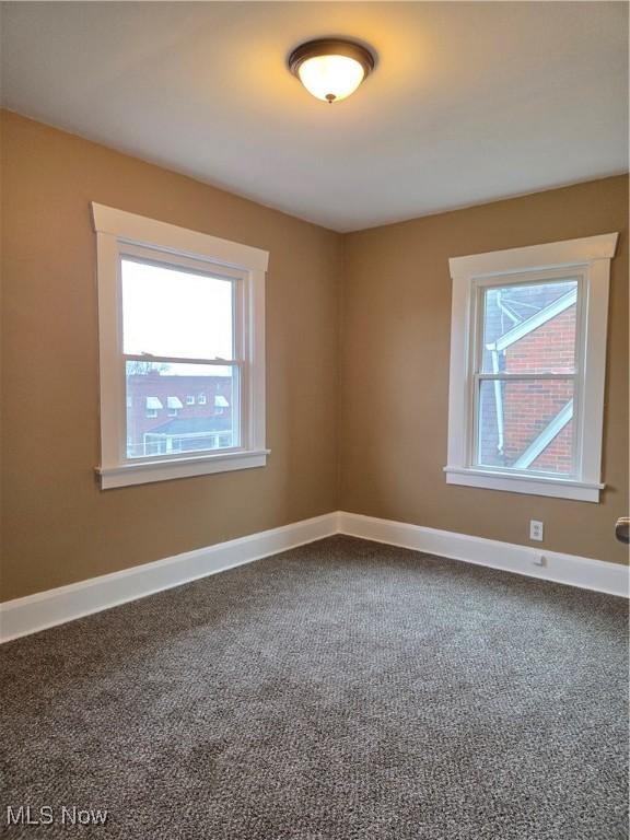 44 W Heights Ave, Youngstown, OH 44509 - photo 17