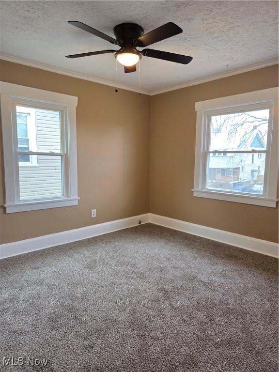 unfurnished room with carpet, crown molding, and a textured ceiling