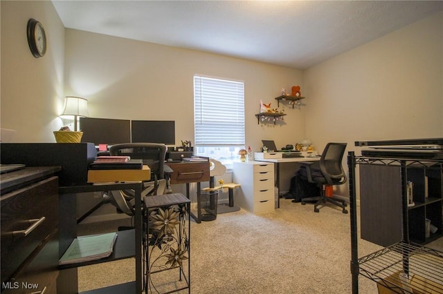 office area featuring carpet floors