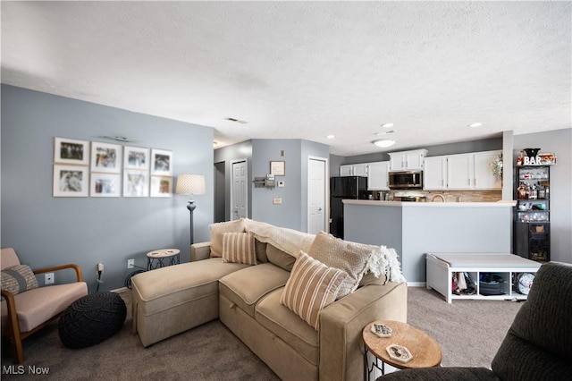 living room featuring a textured ceiling and carpet