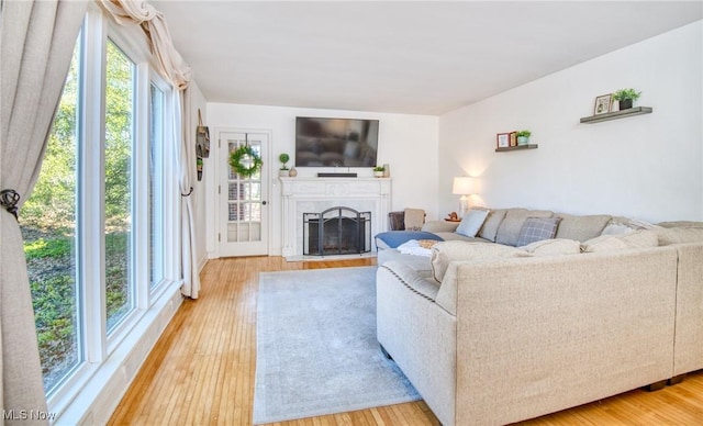 living area featuring a fireplace with flush hearth and light wood-style floors