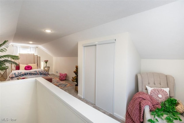 interior space with vaulted ceiling and a closet