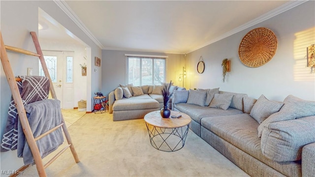 living area featuring carpet floors and crown molding