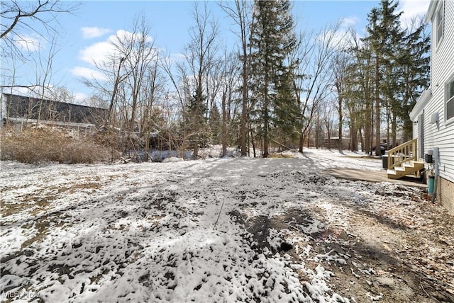 view of yard covered in snow