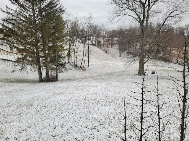 view of yard layered in snow