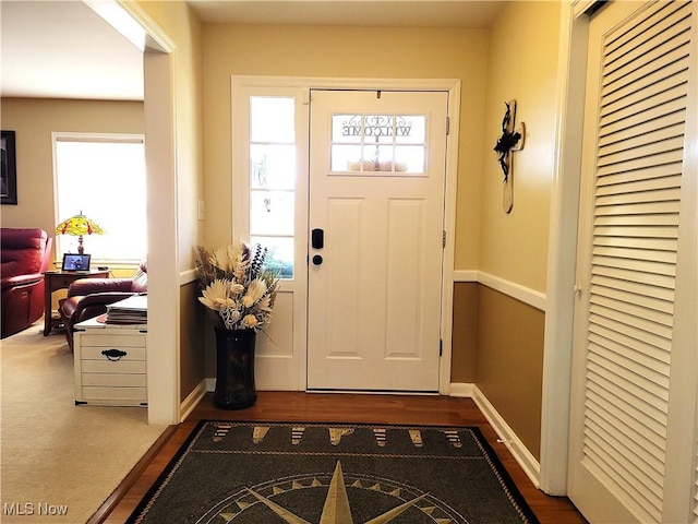 foyer featuring plenty of natural light, baseboards, and wood finished floors