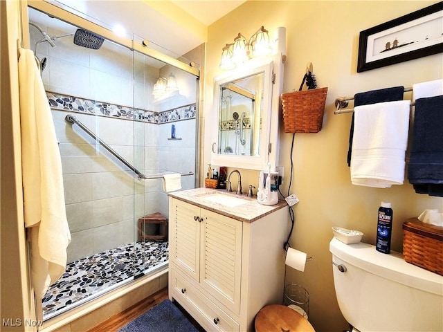 bathroom with toilet, a stall shower, and vanity