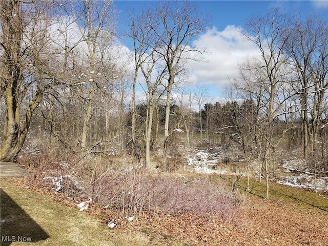 view of landscape