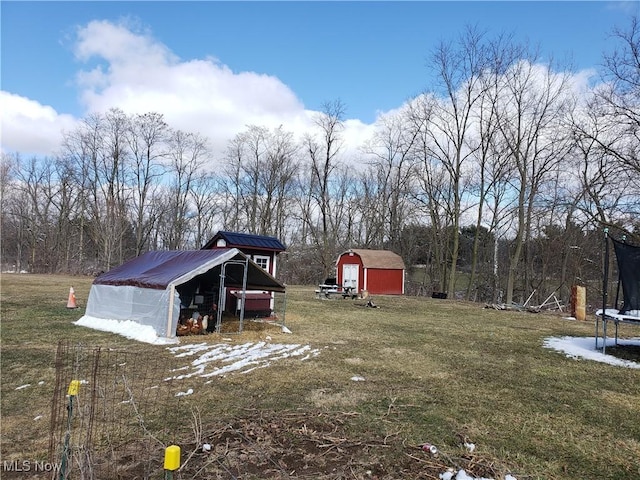 view of yard with an outdoor structure, a trampoline, a garage, and a storage unit