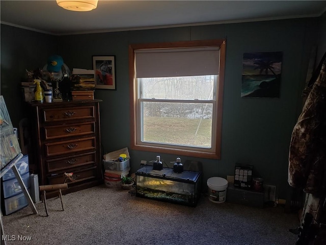 carpeted bedroom with crown molding