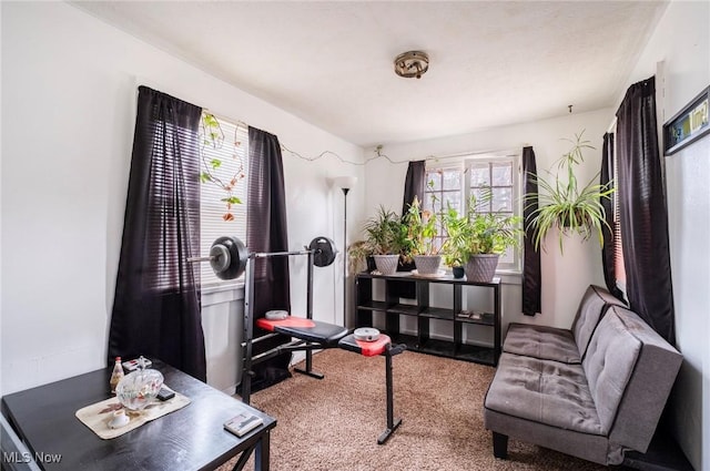 living area with carpet floors
