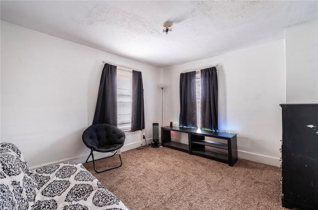 bedroom with carpet flooring, a textured ceiling, and baseboards