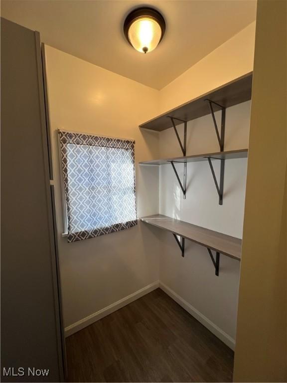 spacious closet with dark wood-type flooring