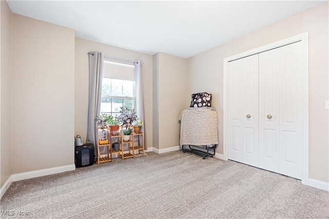 miscellaneous room featuring baseboards and carpet floors