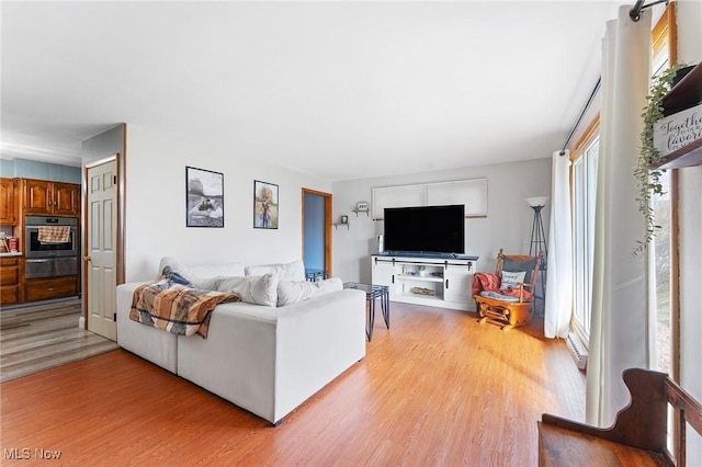 living room featuring light wood-style floors