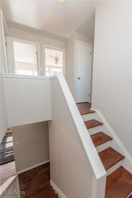 staircase featuring wood finished floors