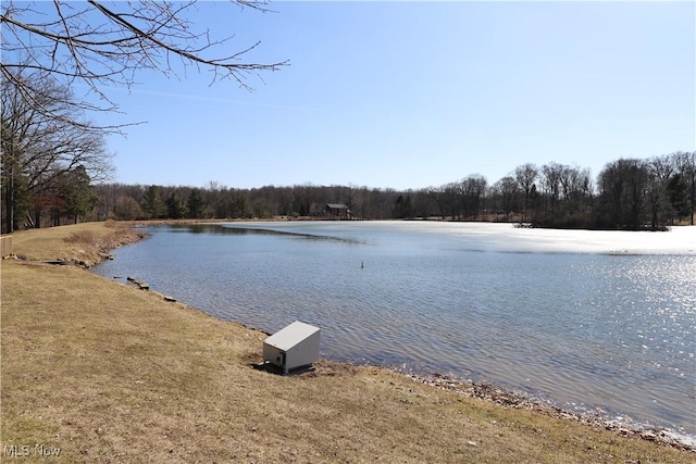 view of water feature featuring a wooded view